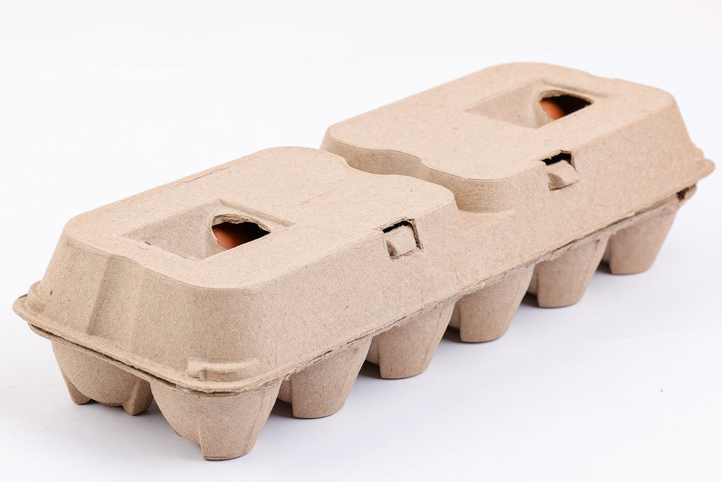 12-Egg Carton – Recyclable Paper Pulp Egg Box